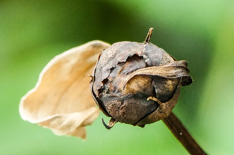 Wabi Sabi Die Schönheit im Unperfekten