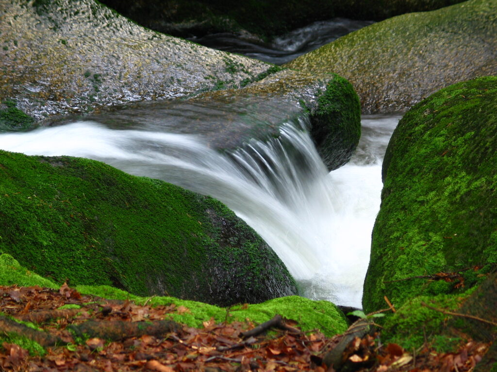 Wasser und Stein