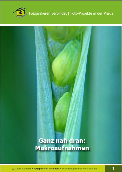 Makrfotografie