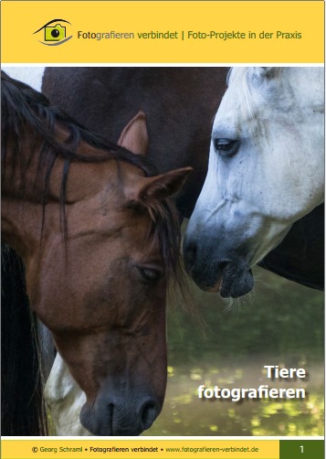 Tierfotografie in der Praxis